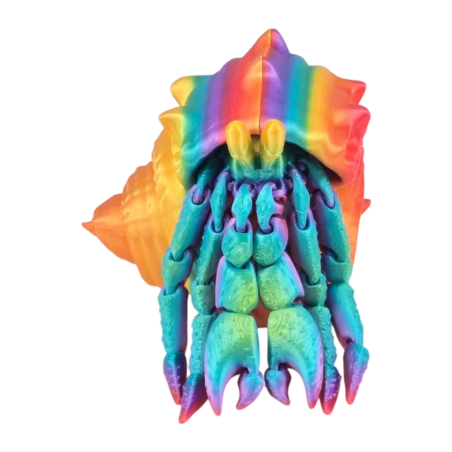 Rainbow-shell articulated hermit crab
