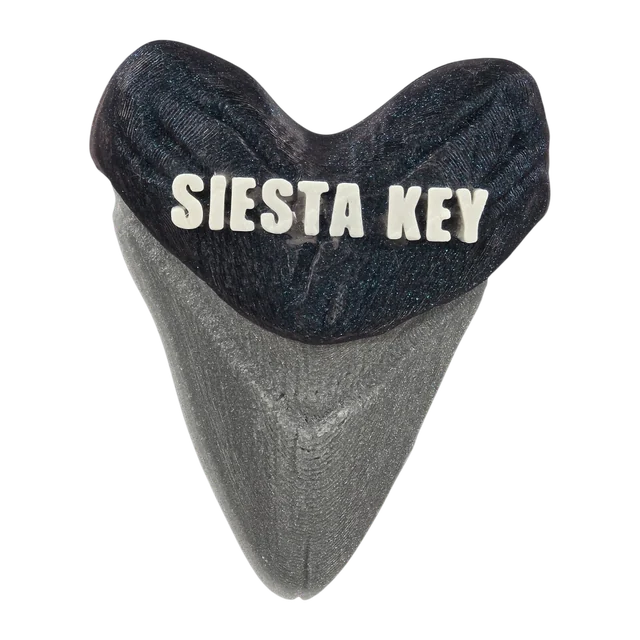 Black shark tooth with Siesta Key lettering